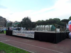 PALCO MODULARE PER CONCERTI